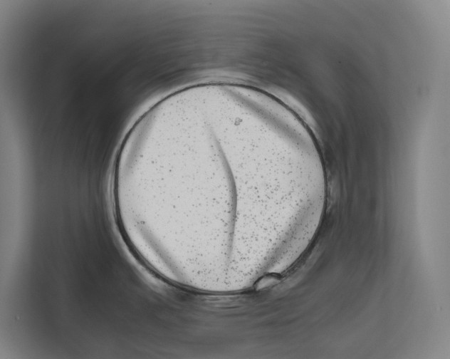 X0000111841391200908201208