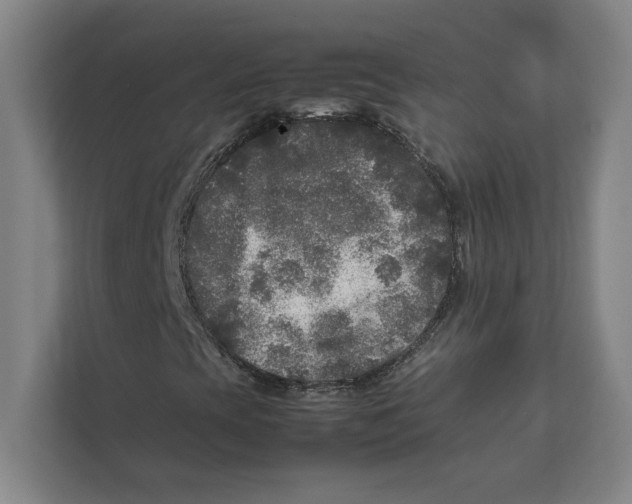 X0000111841393200908201207