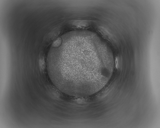 X0000111841395200908201207