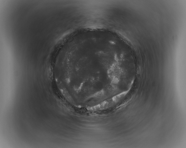 X0000111841398200908201207