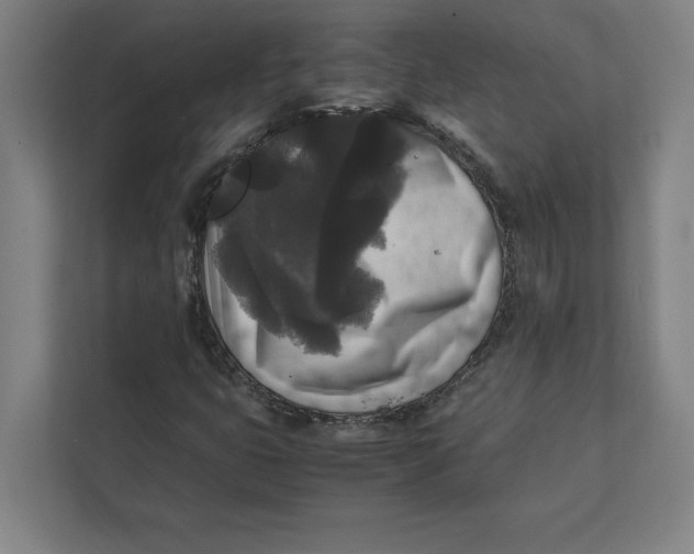 X0000111841399200908201207