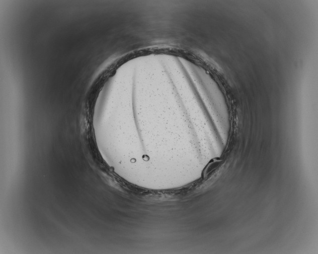 X0000111841400200908201207