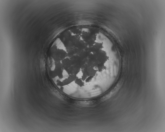 X0000111841401200908201207