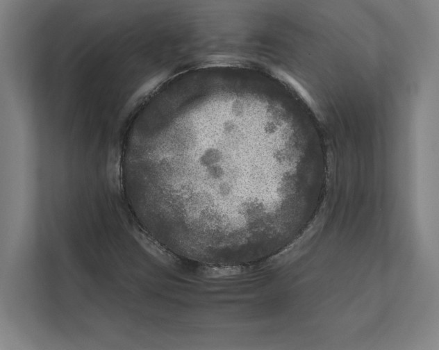 X0000111841403200908201207