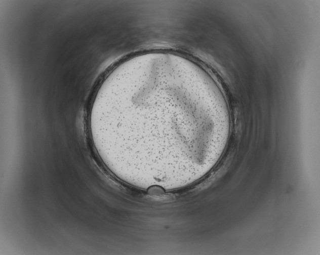 X0000111841404200908201207