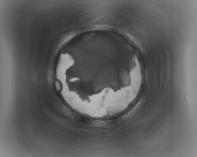 X0000111841405200908201207