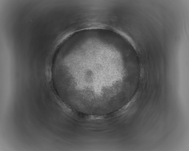 X0000111841407200908201207