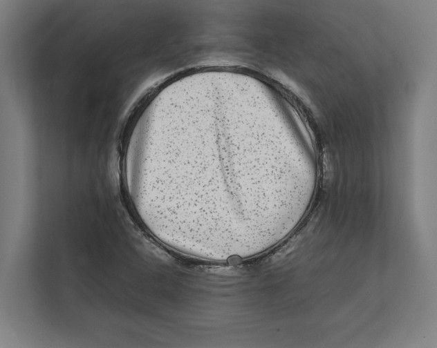 X0000111841408200908201207