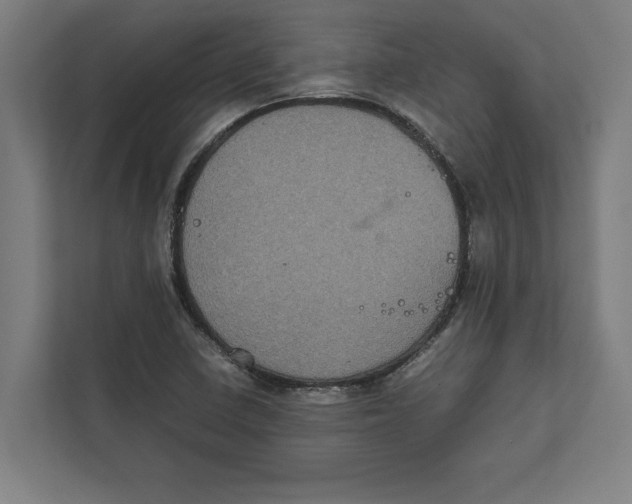 X0000111841410200908201207