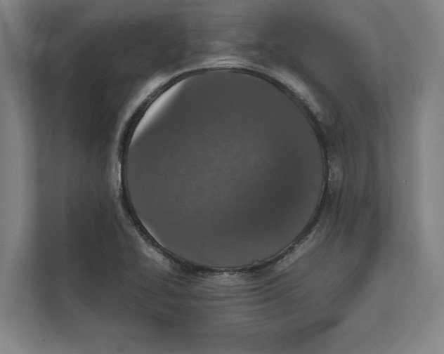 X0000111841414200908201207