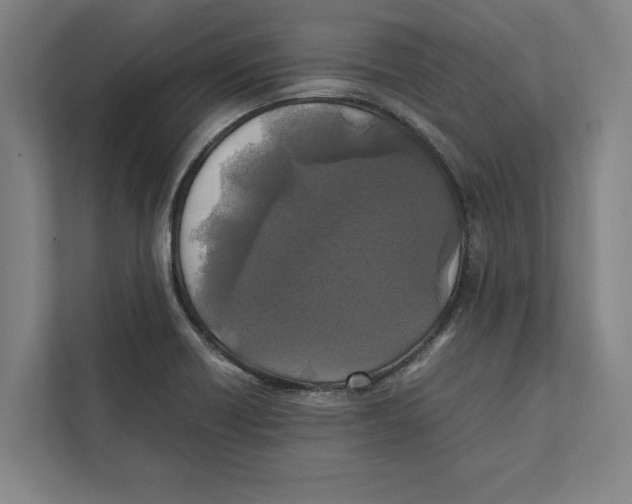 X0000111841418200908201207