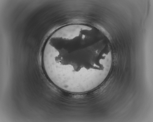 X0000111841419200908201207