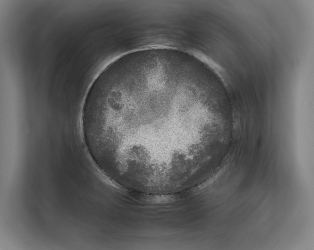 X0000111841423200908201207