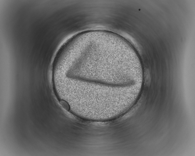 X0000111841424200908201207