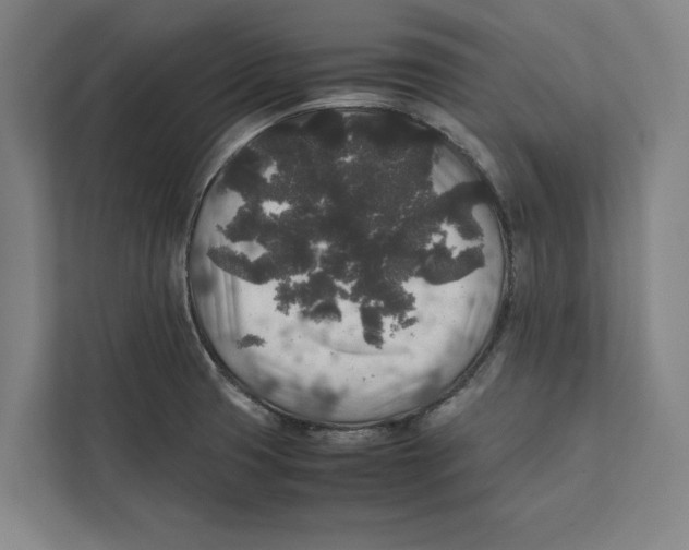 X0000111841425200908201207