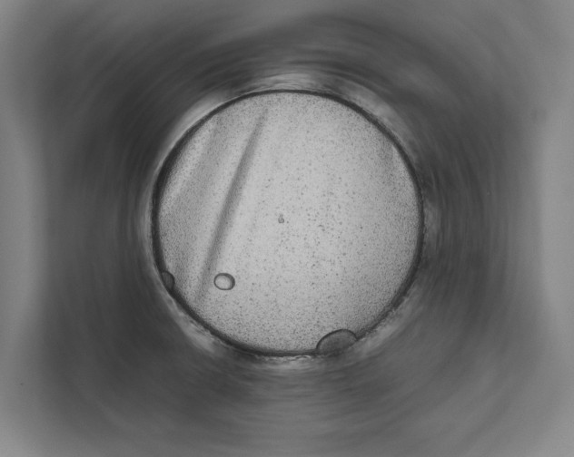 X0000111841426200908201207