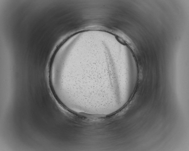 X0000111841430200908201208