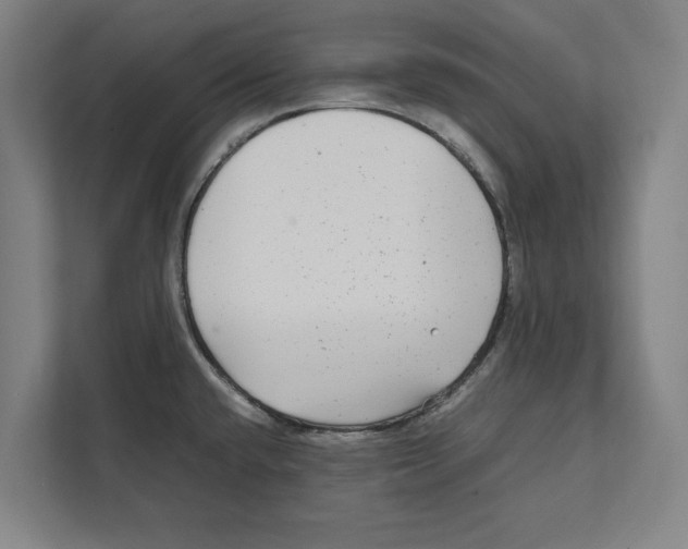 X0000111841432200908201208