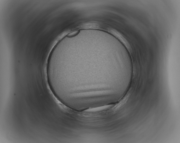 X0000111841434200908201208