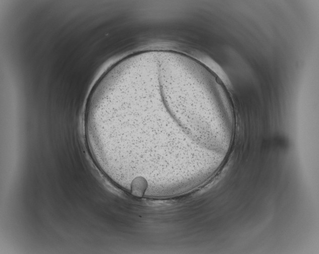 X0000111841436200908201208