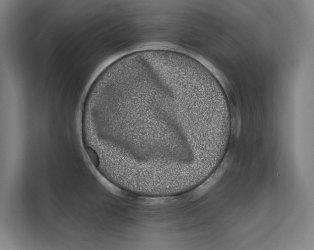 X0000111841438200908201208