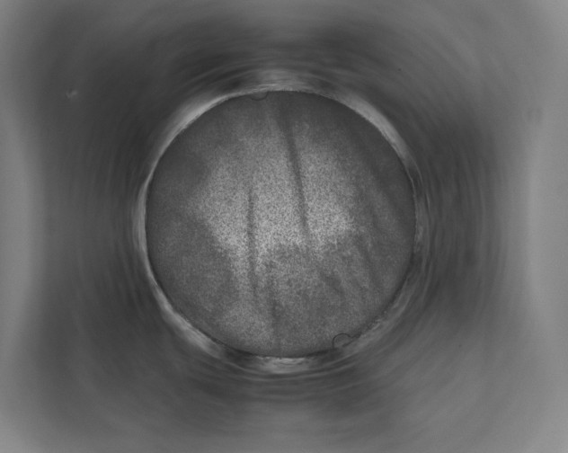 X0000111841439200908201208