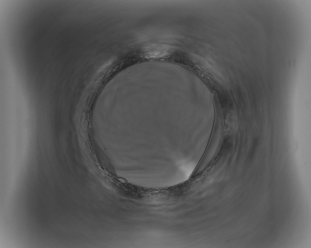 X0000111841441200908201207