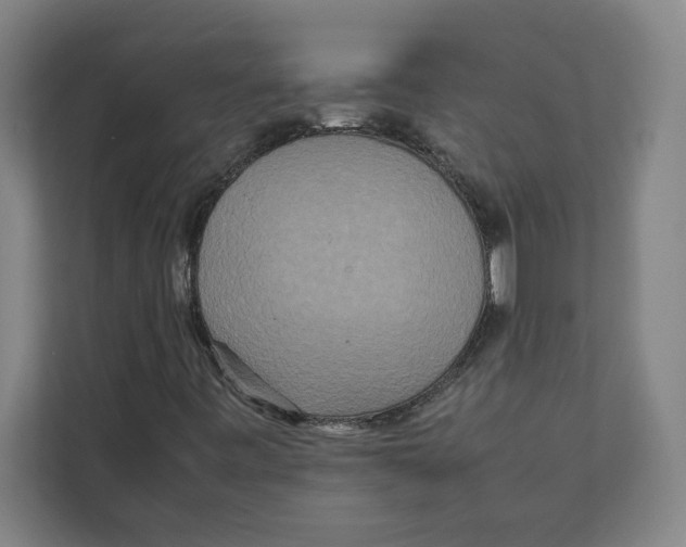 X0000111841443200908201207