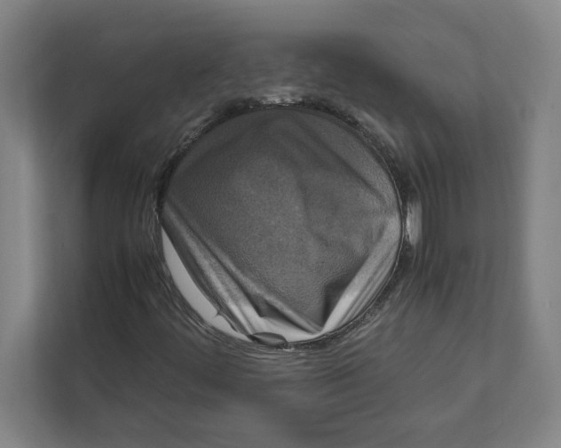 X0000111841444200908201207