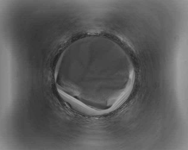 X0000111841445200908201207