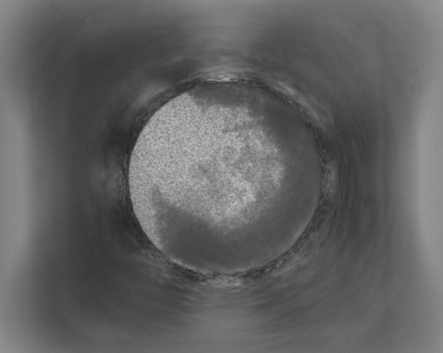 X0000111841446200908201207