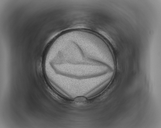 X0000111841452200908201207