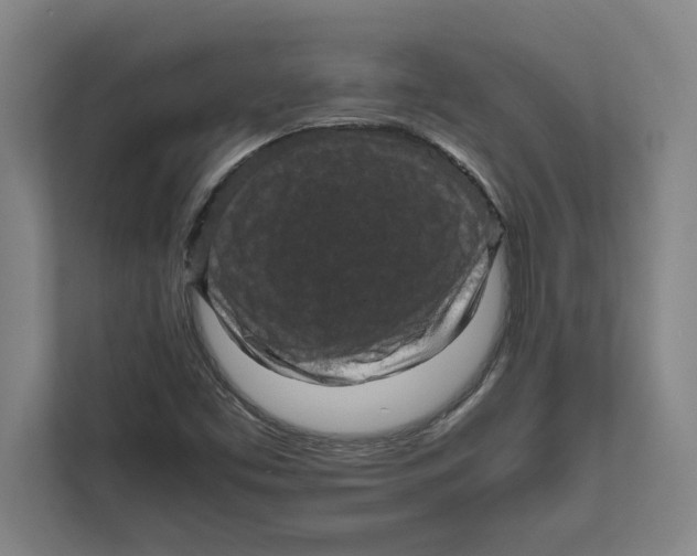 X0000111841453200908201207