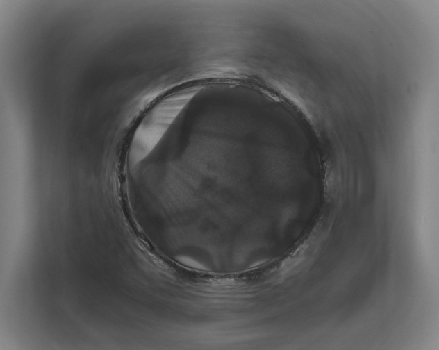 X0000111841455200908201207