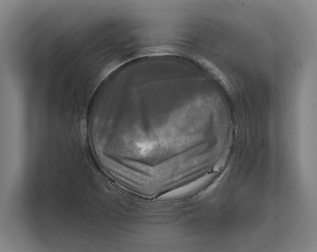 X0000111841457200908201207