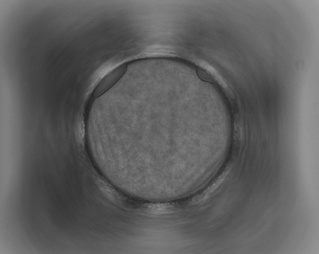 X0000111841461200908201207