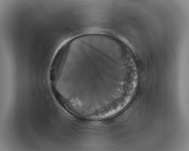 X0000111841463200908201207