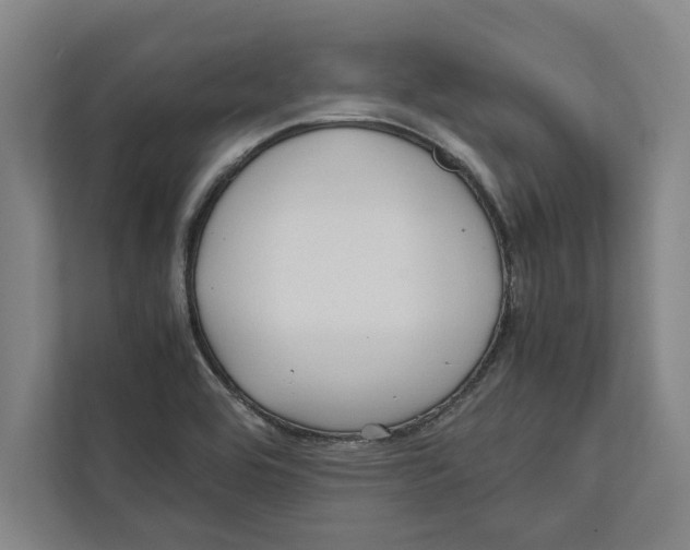 X0000111841464200908201207