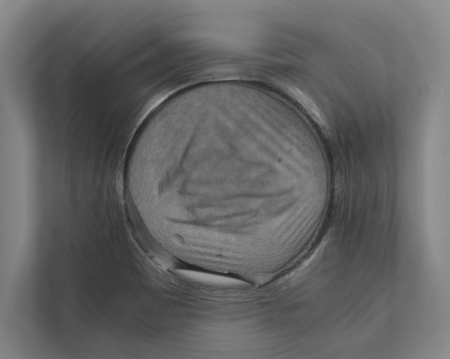 X0000111841465200908201207