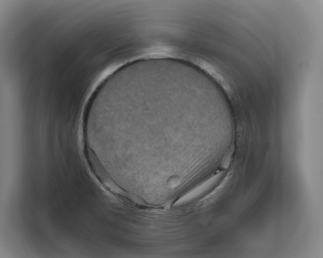 X0000111841469200908201207