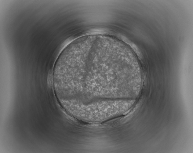 X0000111841473200908201207