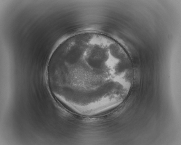 X0000111841474200908201207