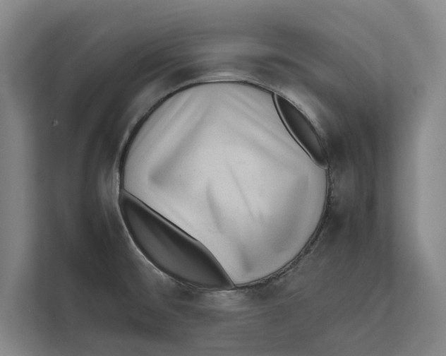 X0000111841476200908201206