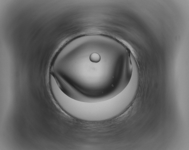 X0000111841477200908201206