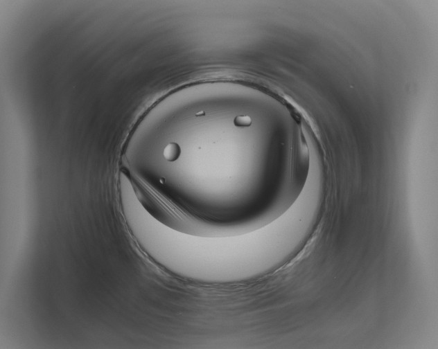 X0000111841481200908201206