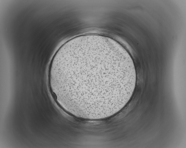 X0000111841483200908201206