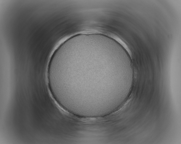 X0000111841485200908201206