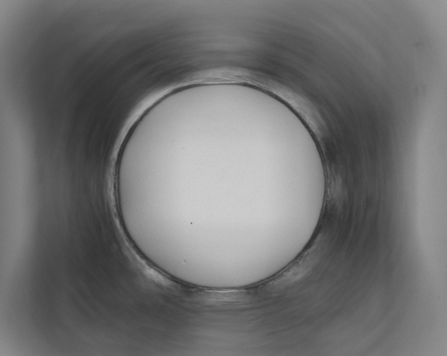 X0000111841486200908201206