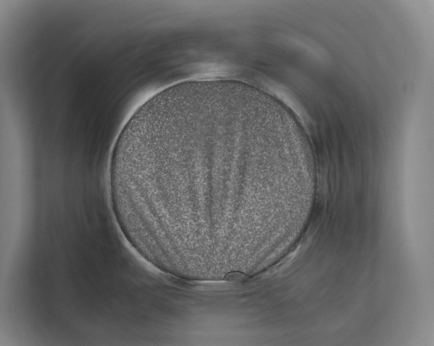 X0000111841487200908201206