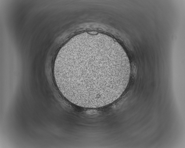 X0000111841489200908201206